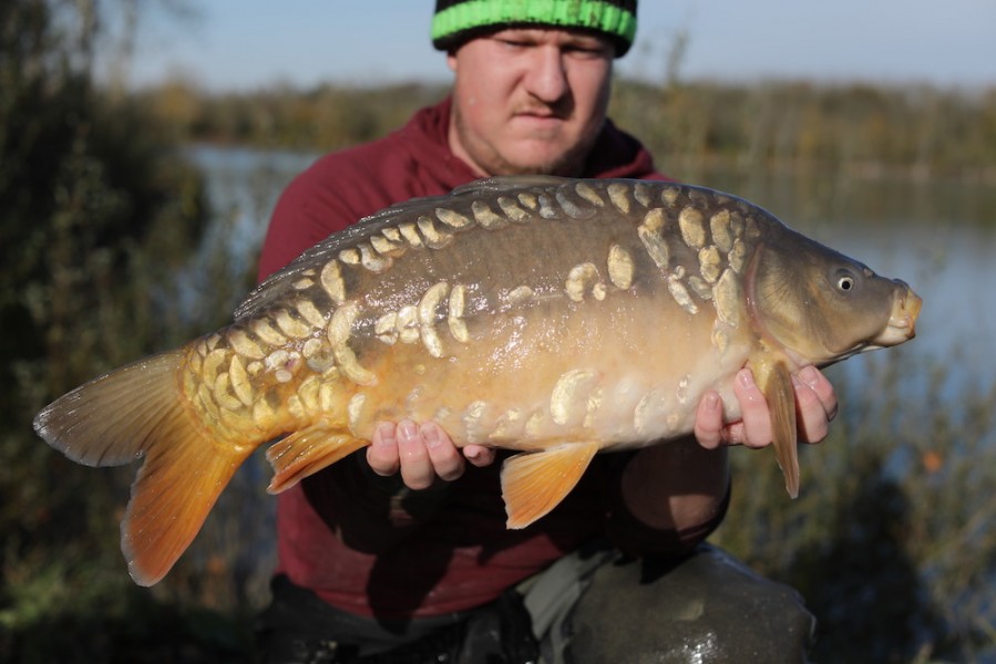 2019 - Fish 084 - 10lb 12oz