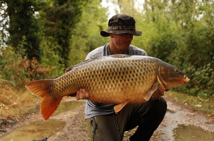 Adam Reed - Alamo - 46lb 8oz - 22/08/2026
