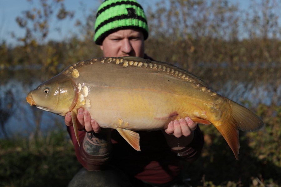 2019 - Fish 097 - 12lb