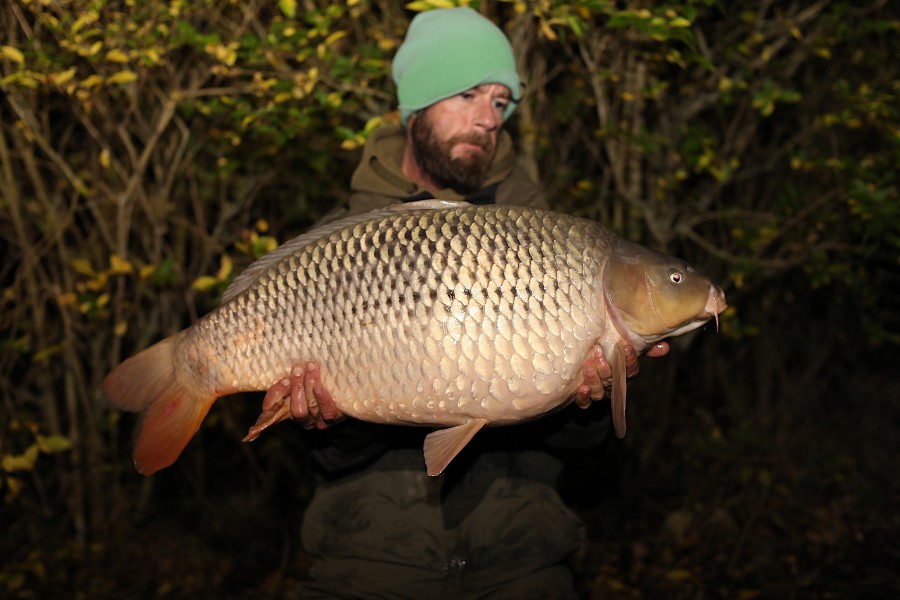 Murphy Chimera, 30lb, Bobs Beach, 21/12/19