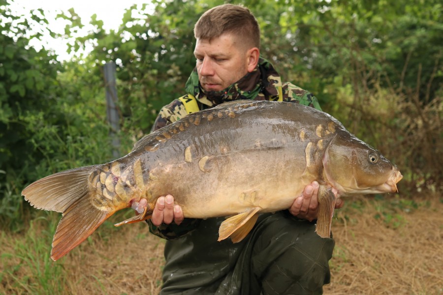 Aaron Metcalfe - Stink - 29lb - 29/06/2024