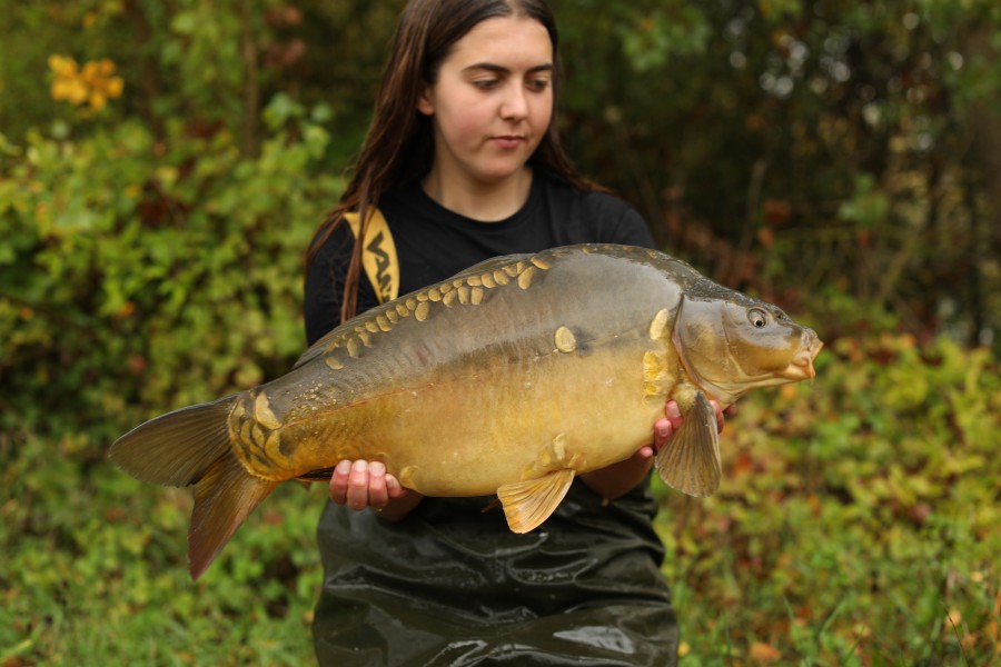 15lb 8oz