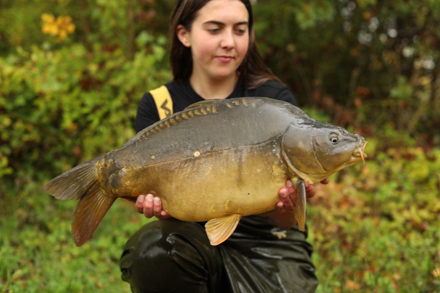 16lb