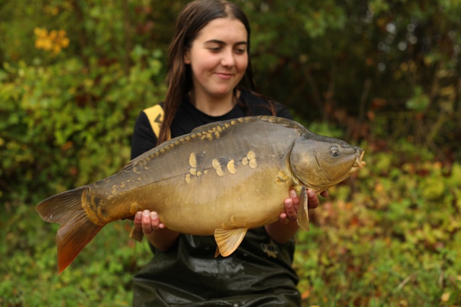 16lb