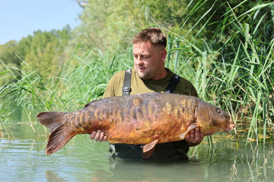 Tom Burns - 41lb - The Alamo - 16/08/2025