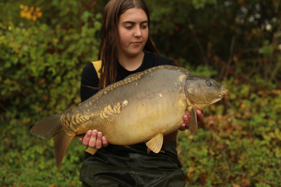 15lb