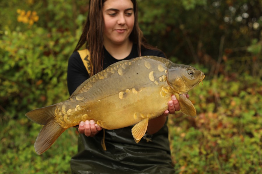 12lb