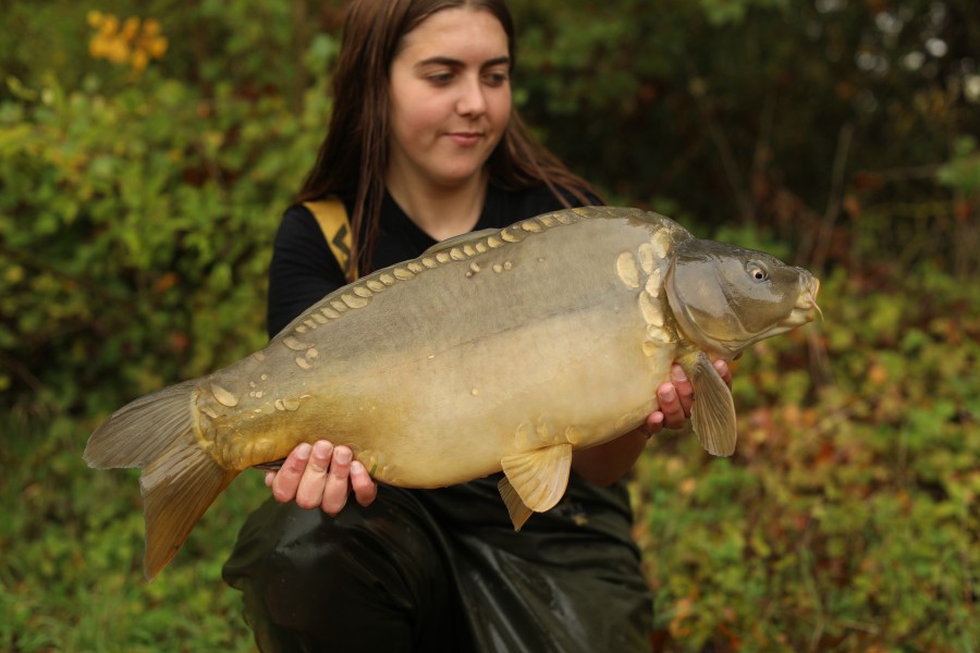 14lb 8oz