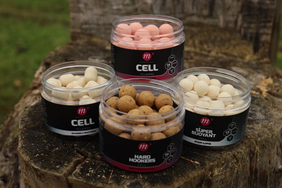 Matching hook baits