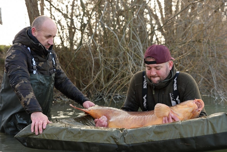 Bailiff's must be present when attending to our 50lb plus fish