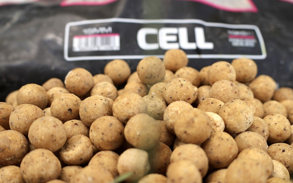 Mainline Cell is a great all year round bait