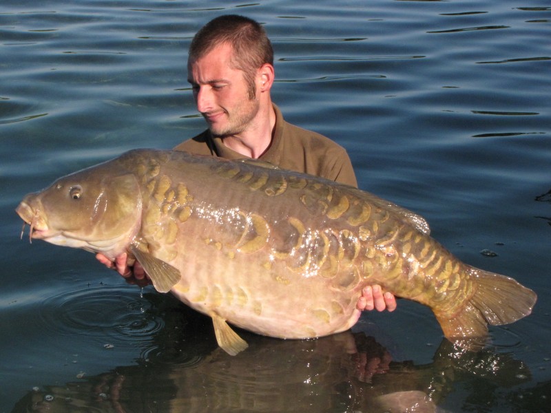 Magnificant. Spring Scaly @ 55.12