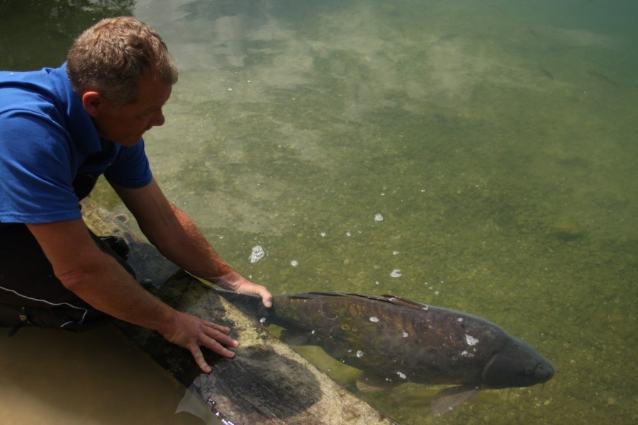 Gigantica's crystal clear waters