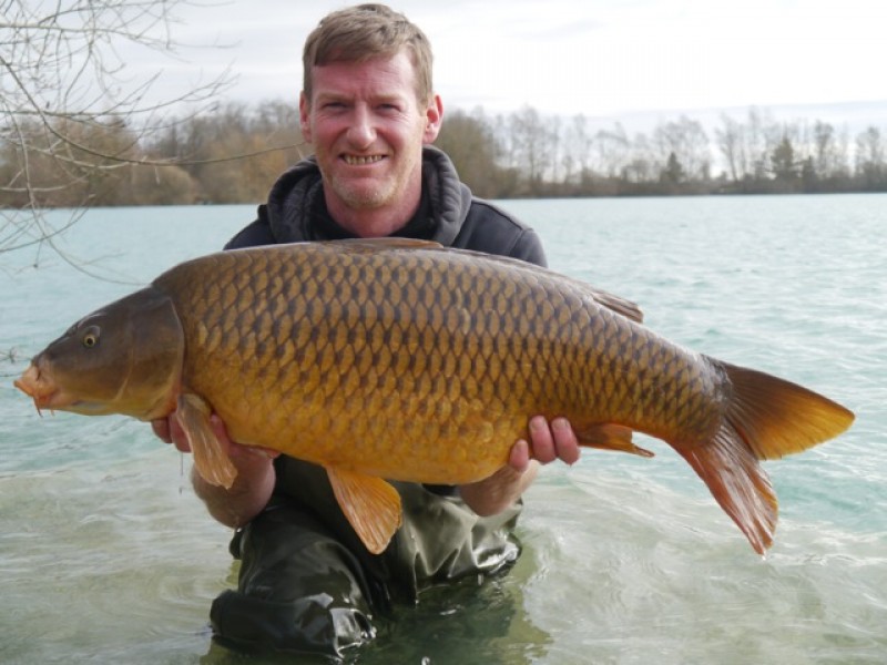 Rich with a winter coloured common