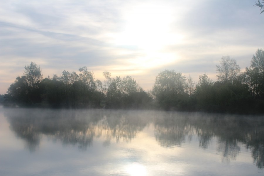 A early morning view from The Stock pond swim