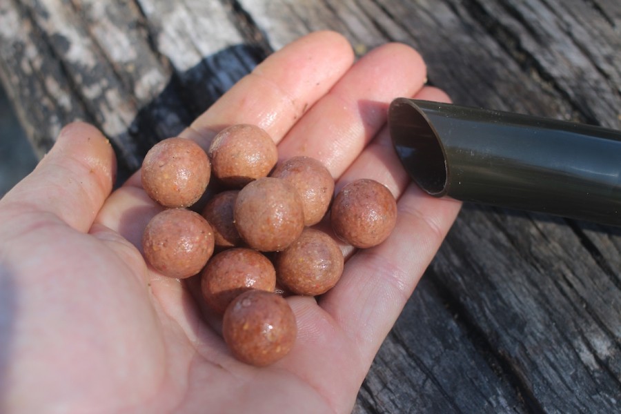 New Spicy Active boilies