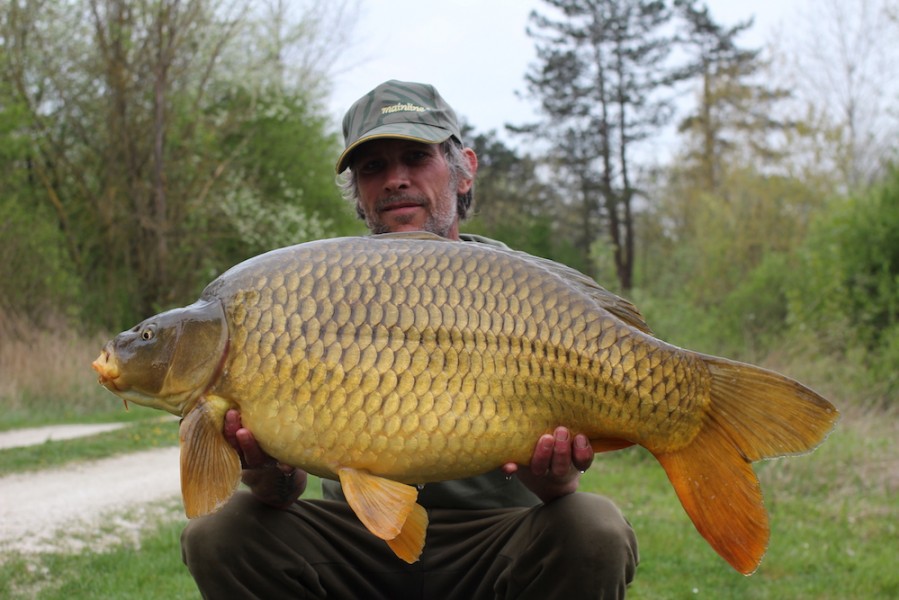 Darren Proctor with a 29lb Common from Alcatraz 8.4.17