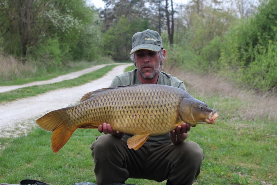 A 22lb Common for Darren Proctor fishing out of Alcatraz 8.4.17