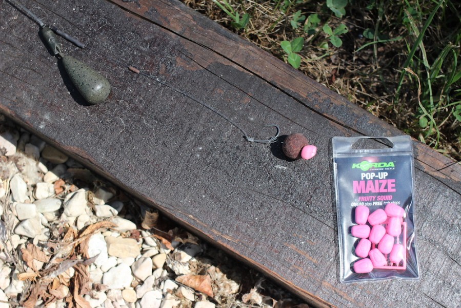 Buzz's IQ D rig with The New Fishmeal Boilie from Mainline Baits