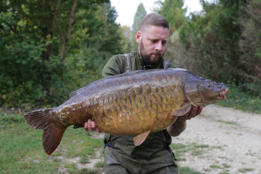 The aptly named King Fully at 39lb, 23.09.17