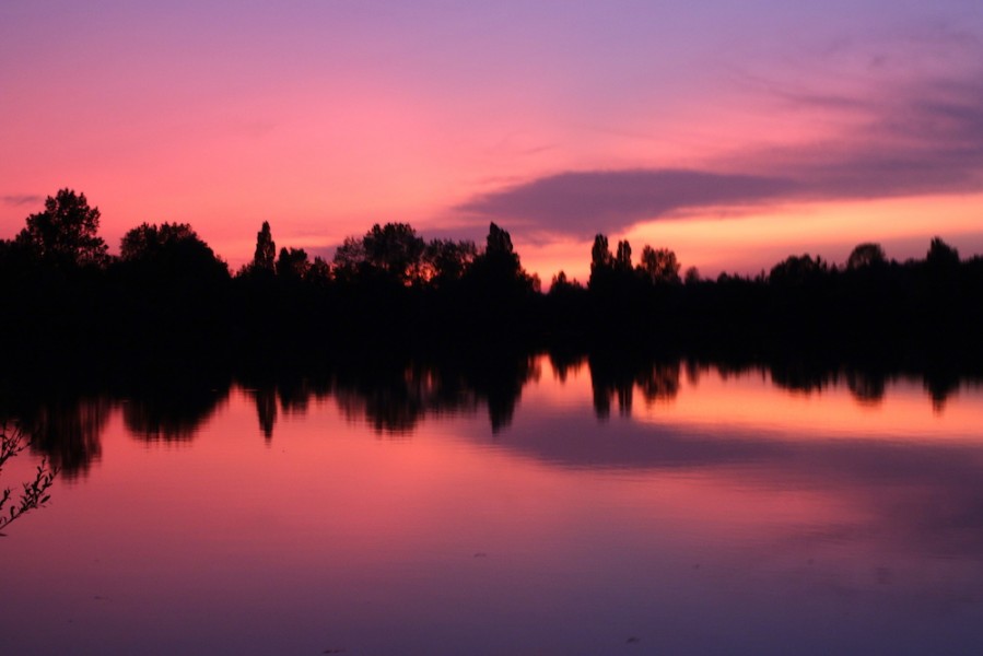 Another amazing Gigantica sunset, could you ever tire of seeing them.