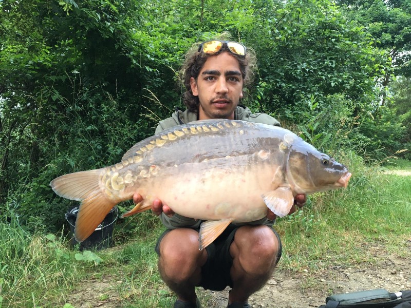 Another future Gigantica monster, they're packing on the weight.