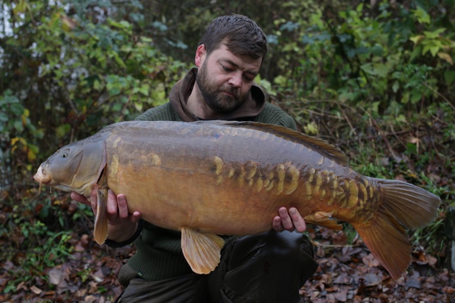 Druse, 38lb, Bob's Beach, 24.11.18