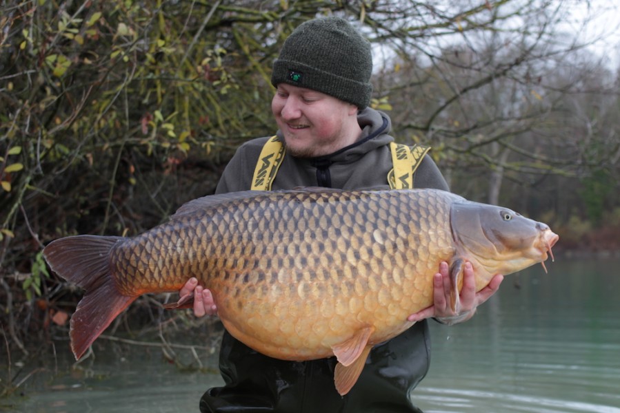 Steve Bartlett, 50lb 8oz, Co's Point, 24.11.18