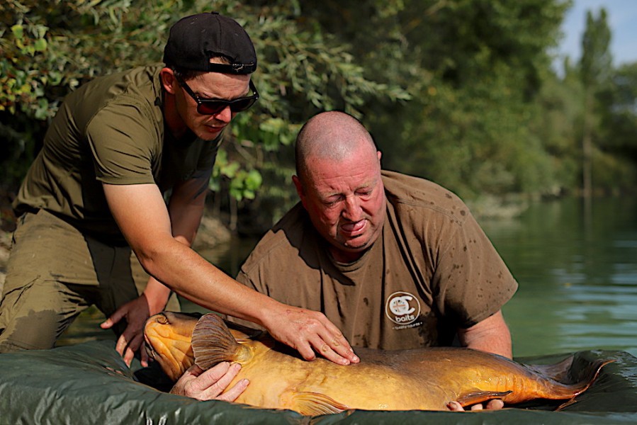 The team at Gigantica are always on hand to help you out.