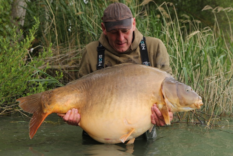 Will with Ziggy Stardust at 74lb "what a way to start the week off"