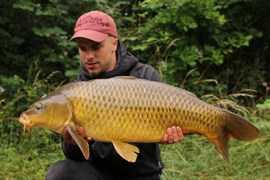Look at the colour of this mid 20lb common for "The Belgium Sniper", what a stunner............