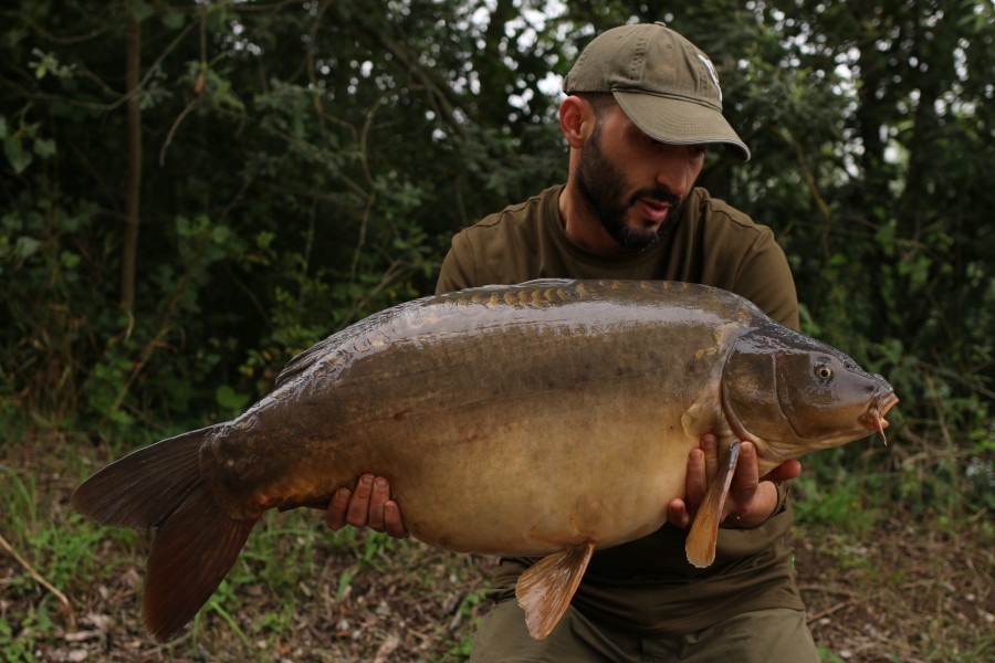 A fish known as "Lia" at 36lb showing her lovely chestnut colours!!................