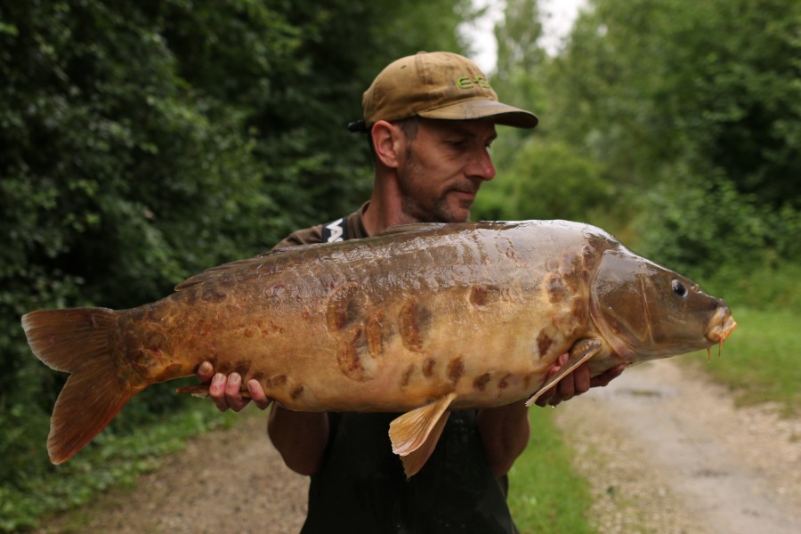 Such an impressive scaled fish this one, "Black Scale" at 32lb.............