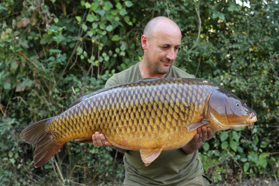 What a common, "Wrap Around" at 42lb 4oz...........