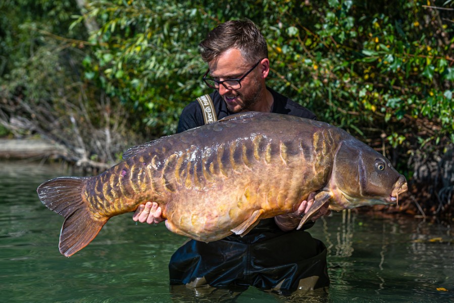 Snags Linear, what a creature!!, not many like these around, 52lb of awesomeness!!.............
