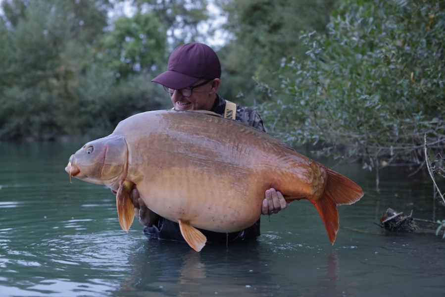 "Baby Brutus" tipping the scales to 54lb........Top angling from the Gaffa