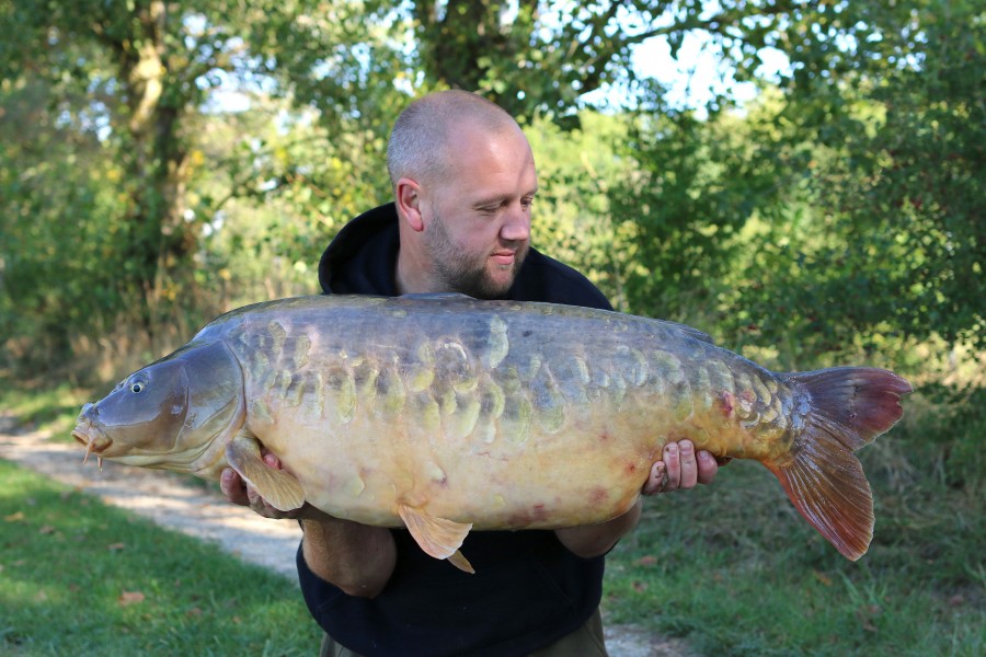 Check the scale pattern on this old warrior.........Grey Plated 48lb 4oz