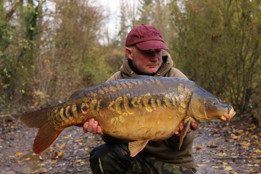 What a stocky......"Conker" at 28lb, can't wait for this to be a 50 plus fish!!.....
