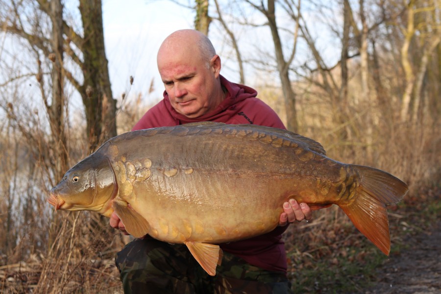 "Solid Bag Steve" tempted another Gigantica beauty in the form of "The Vain" at 36lb 8oz..........