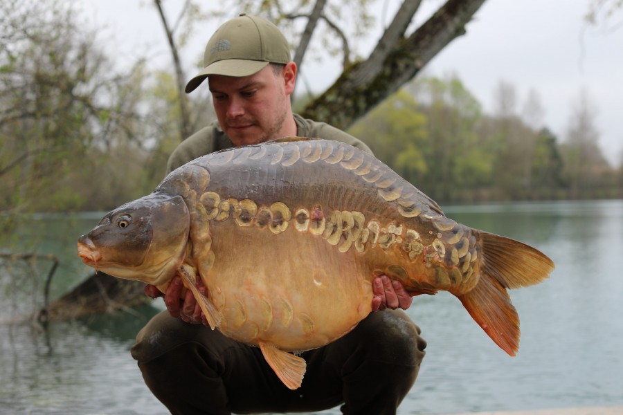 Proper Bruiser! Pearly Linear...one to watch out for in the future!