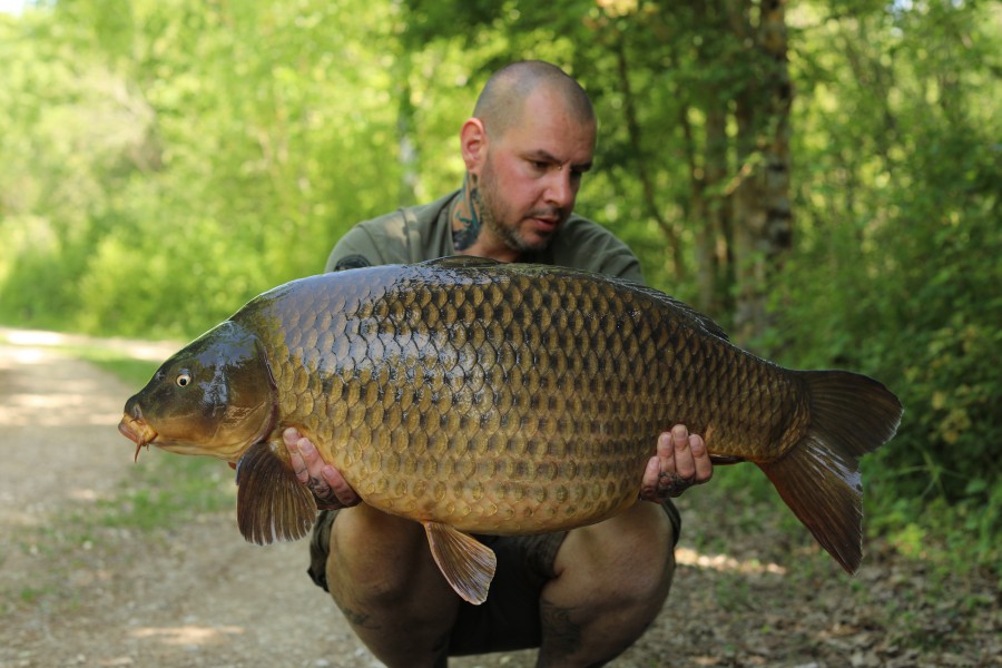 Brute of a common for Geofferson.