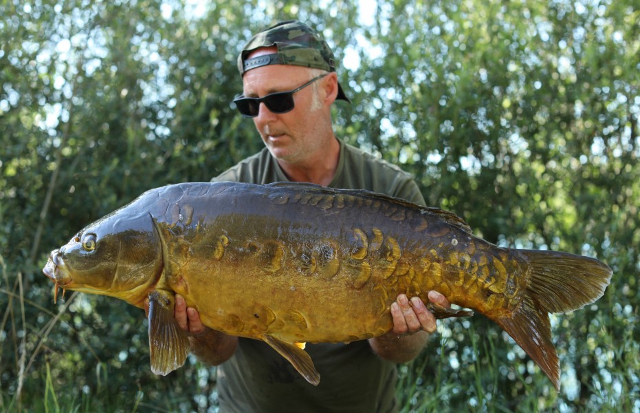 We do love a scaley!