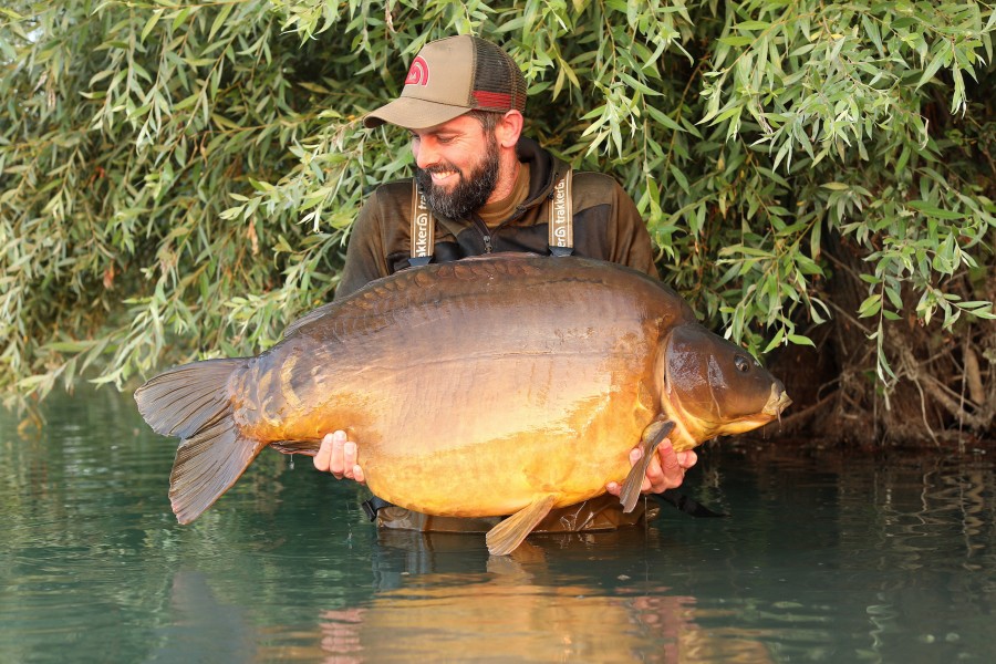 First appearance for nearly 2 years! Mega carp!