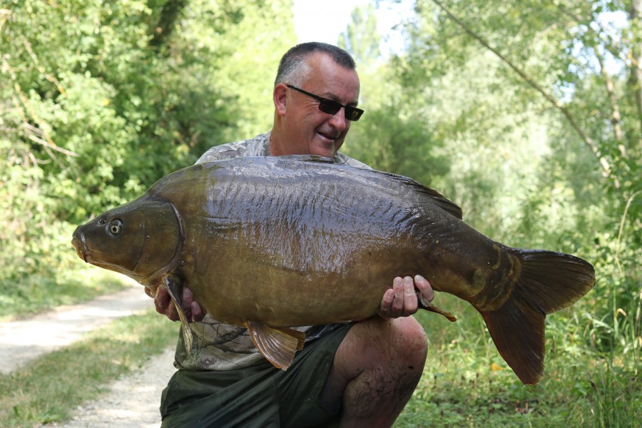 The Rudder, what a cool carp!