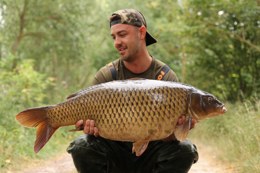 Jack with a lovely common