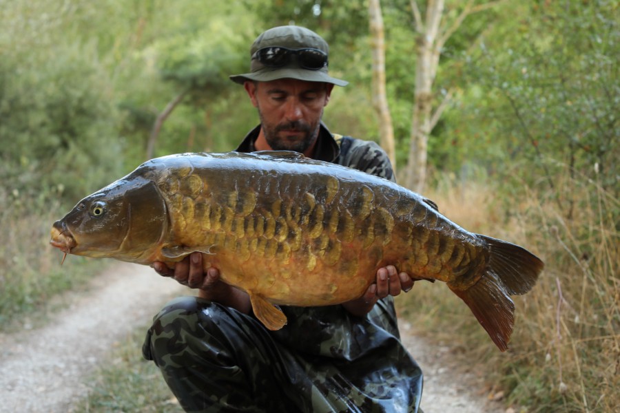 WHAT A LOVELY CARP!!