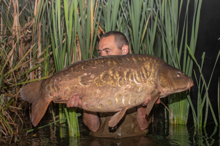Jonny with Equalled, what a carp!
