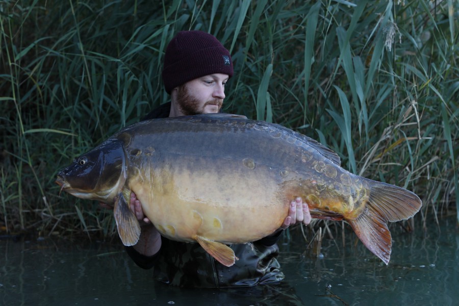 Only a 48lber this one...