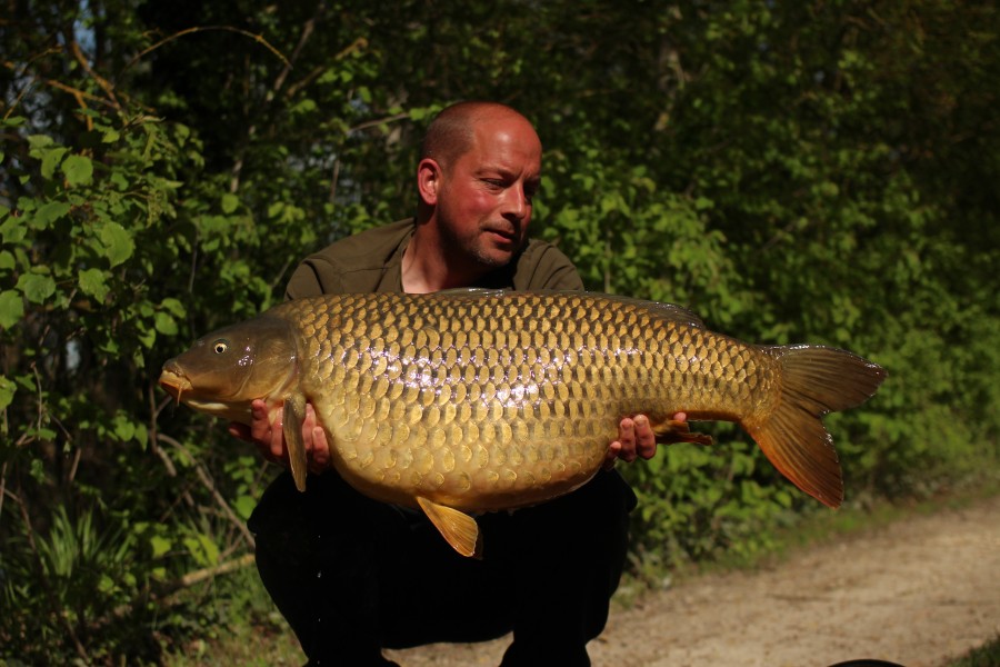 Pristine common at 37lb from Tree Line first bite this year!