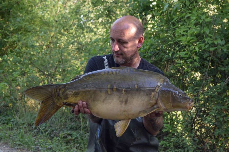 Baby Star 25lb 4oz